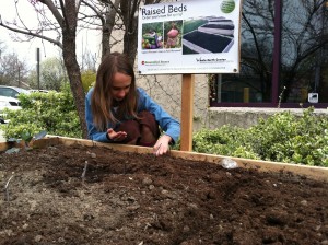 Planting seeds