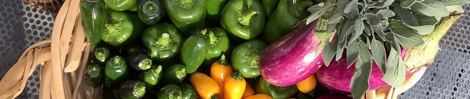 collection of colorful vegetables